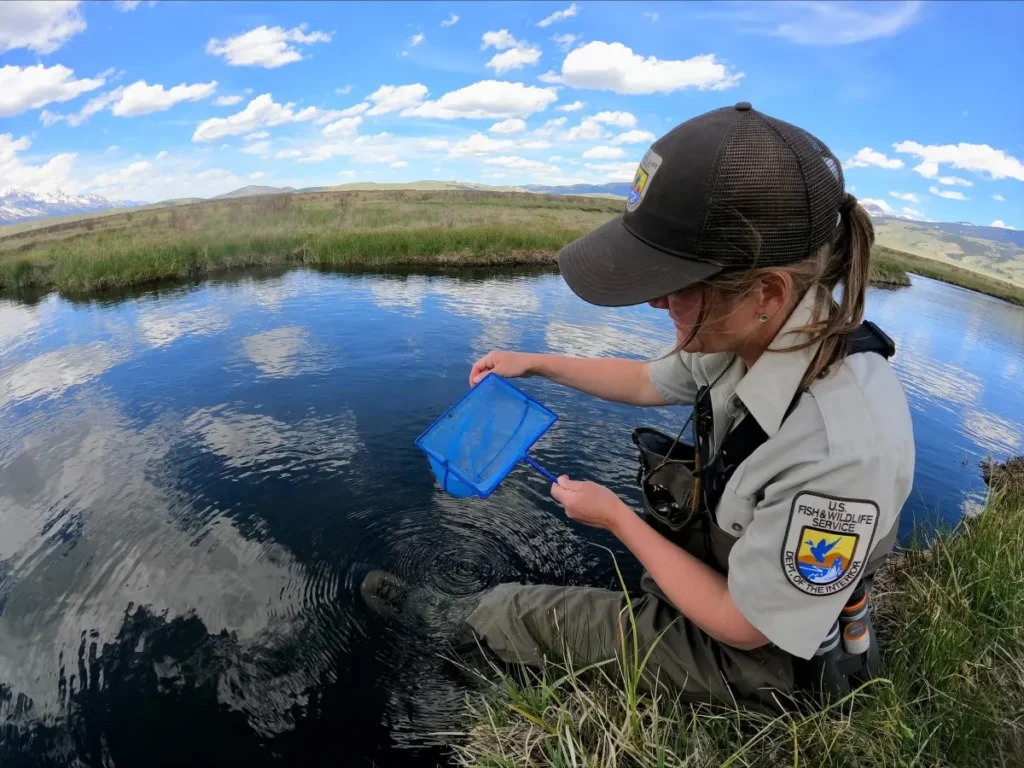 U.S. Fish and Wildlife staff down more than 35% in Utah